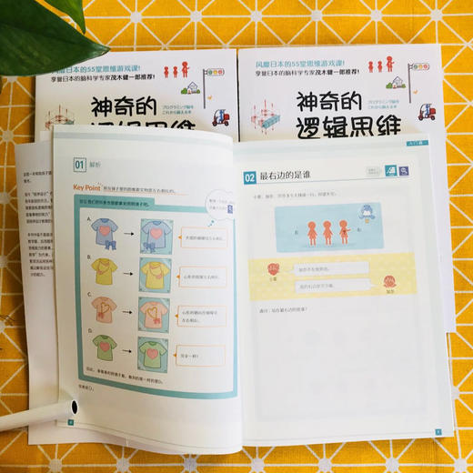 【果壳推荐】神奇的逻辑思维游戏书 商品图2