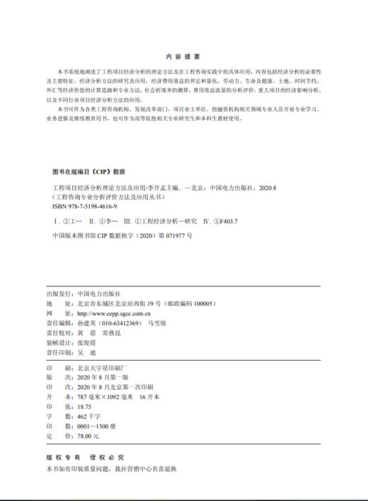 工程咨询专业分析评价方法及应用丛书 工程项目经济分析理论方法及应用 商品图3