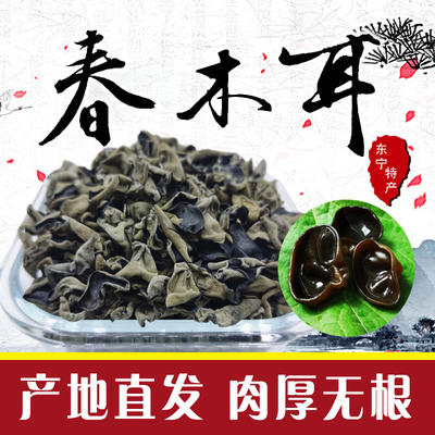 東北特產牡丹江東寧春木耳500g