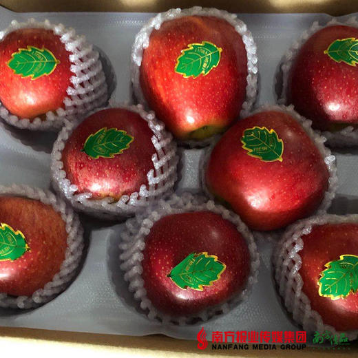 【珠三角包邮】农匠 国产红玫瑰苹果礼盒装 3斤±2两/盒（次日到货） 商品图1