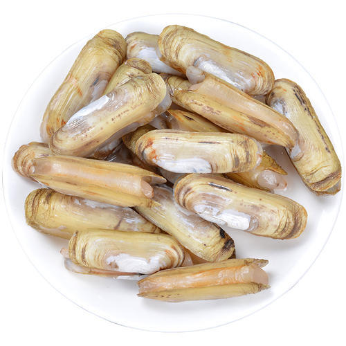 尝鲜价99元250g新鲜活海蛏子优选商家