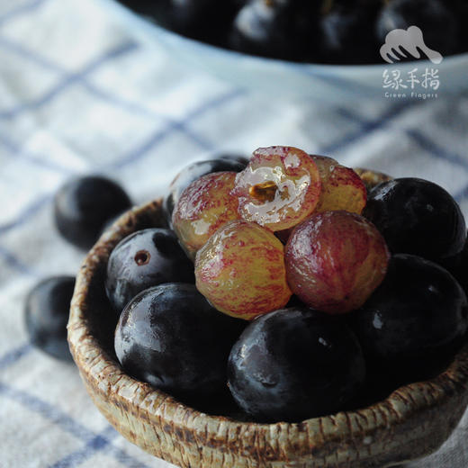 生态巨峰葡萄（珠海片区） | 合作生产*Organic Kyoho grapes | Coproduction 商品图2