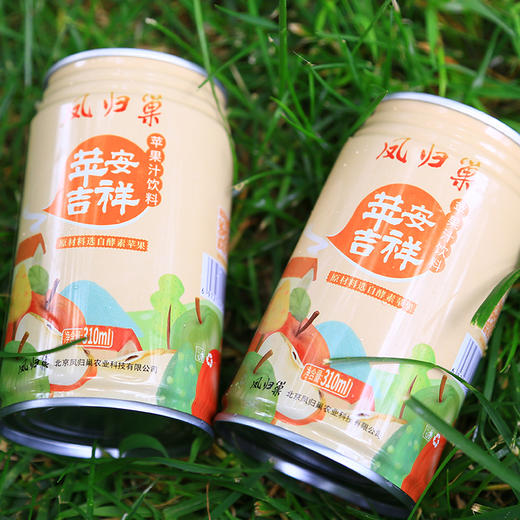 社区团购 凤归巢  苹安吉祥苹果汁饮料   310ml*6罐/箱  包邮 商品图2