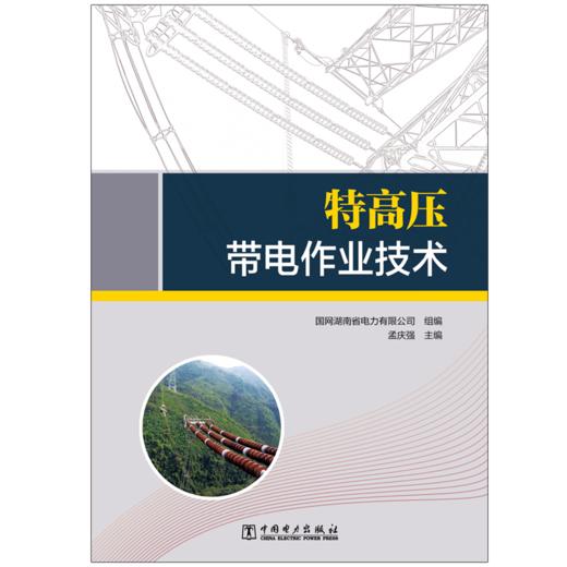特高压带电作业技术 商品图1