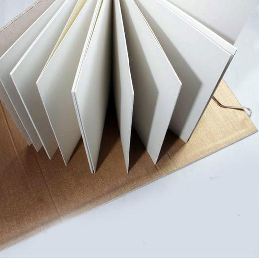 【鹅毛肆】墨契精装书法册页，38x26cm，12张（24面），多种纸性 商品图4