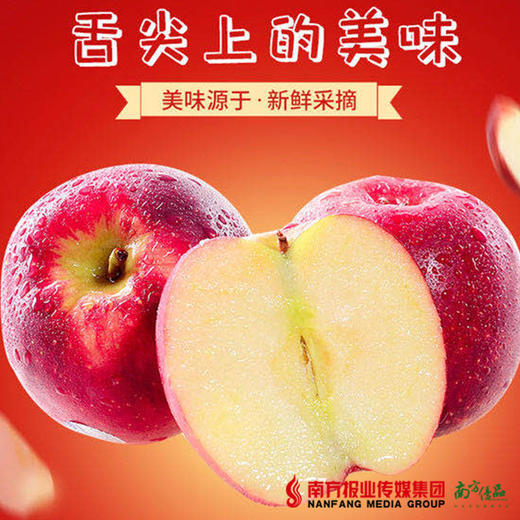 【珠三角包邮】农匠 国产红玫瑰苹果礼盒装 3斤±2两/盒（次日到货） 商品图0