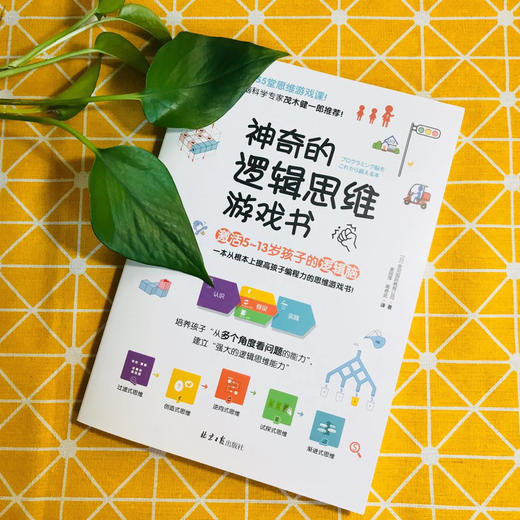 【果壳推荐】神奇的逻辑思维游戏书 商品图1