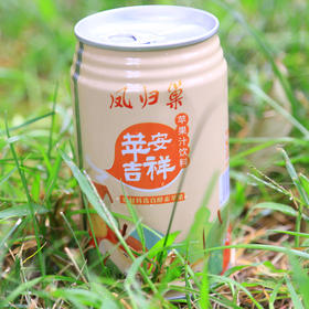 社区团购 凤归巢  苹安吉祥苹果汁饮料   310ml*6罐/箱  包邮