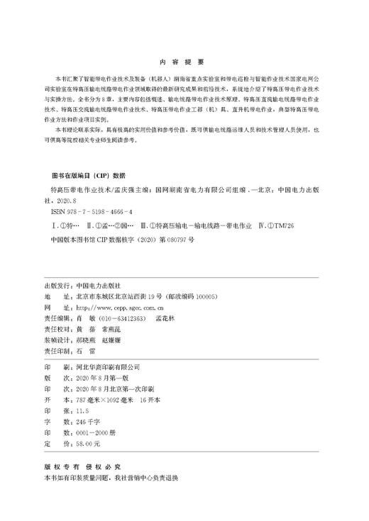 特高压带电作业技术 商品图3