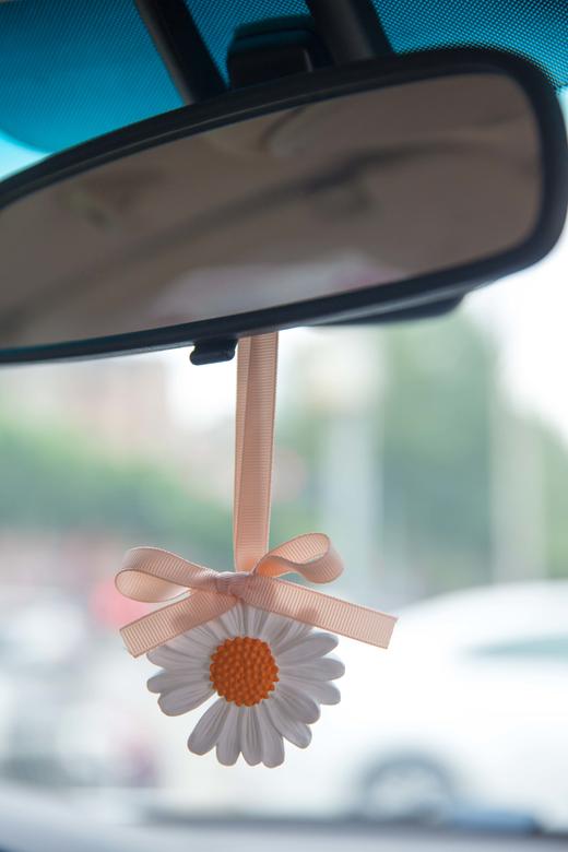 小雏菊石膏香薰车挂 商品图1