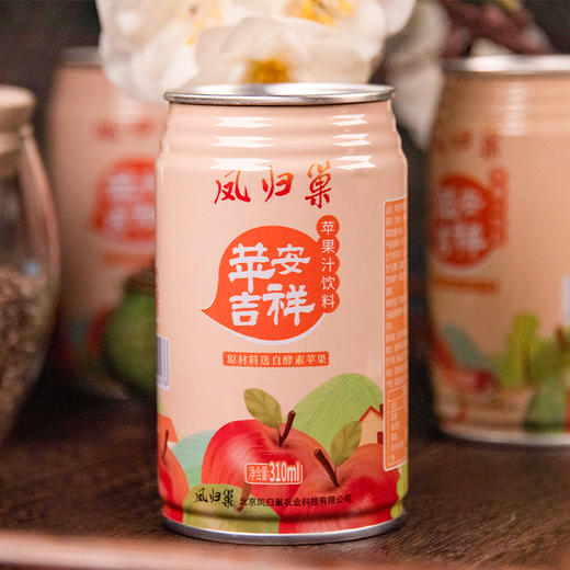 社区团购 凤归巢  苹安吉祥苹果汁饮料   310ml*6罐/箱  包邮 商品图4