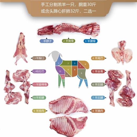 2999型全羊礼盒提货卡 商品图2