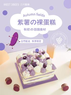 紫薯の裸蛋糕（砍价）