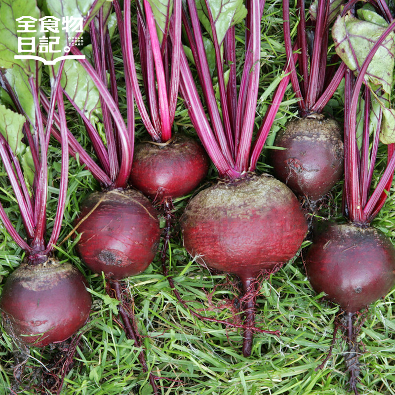 新鲜甜菜根五斤装
