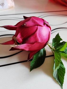 博馆天字壹号双11