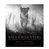 【预订】Wild Encounters  David Yarrow，正在消失的野生动物  大卫·亚罗 摄影集 商品缩略图0