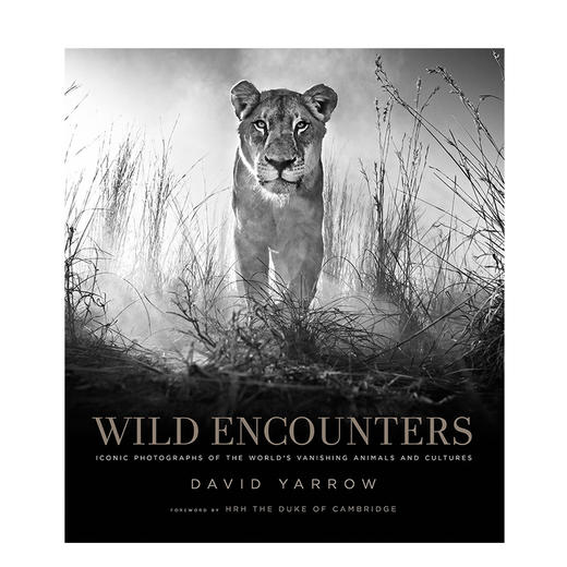 【预订】Wild Encounters  David Yarrow，正在消失的野生动物  大卫·亚罗 摄影集 商品图0