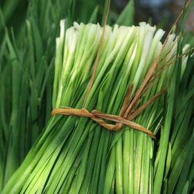 【生鲜预定】韭菜