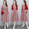 时尚印花，棉麻两件套连衣裙HR-XBL095 商品缩略图0