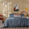 真丝四件套高颜值一床两用SANGLUO桑罗双色拼接床品 商品缩略图1