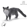 思乐 美国短毛猫SCHC13894 商品缩略图2