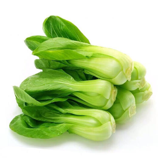 【生鲜预定】上海青 京白菜 商品图0