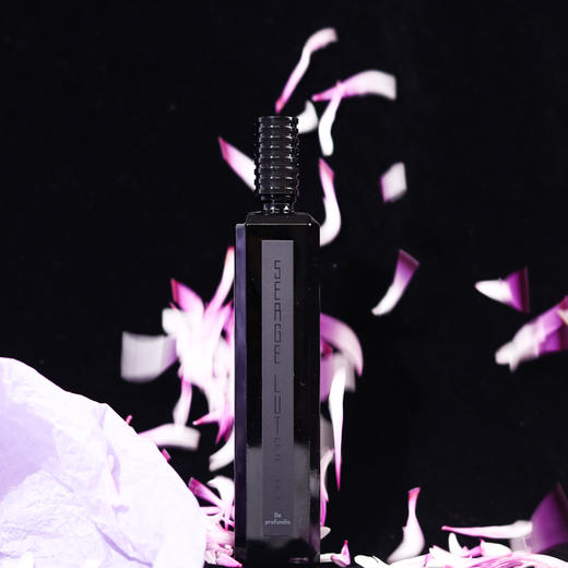 芦丹氏 幽暗深渊（深渊书简） Serge Lutens De Profundis 分装 商品图1