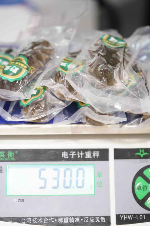 鲜食海参1斤装 6头/8头/10头 商品图3