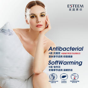 五星拒污抗菌智热鹅毛复合枕