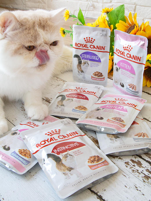 皇家 猫湿粮包 商品图2