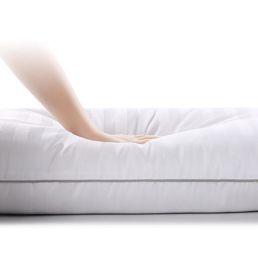 五星拒污抑菌鹅毛复合枕 商品图4