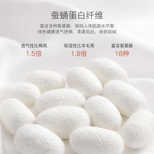 爱帝男式蚕蛹蛋白单件秋裤保暖裤 商品图3