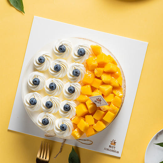 莓果物语 商品图1