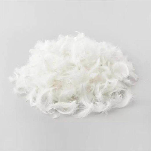 五星拒污抑菌鹅毛复合枕 商品图2