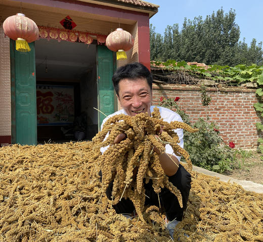 火山灰小米 3斤礼盒装 2022新米  粘糯香醇 商品图1