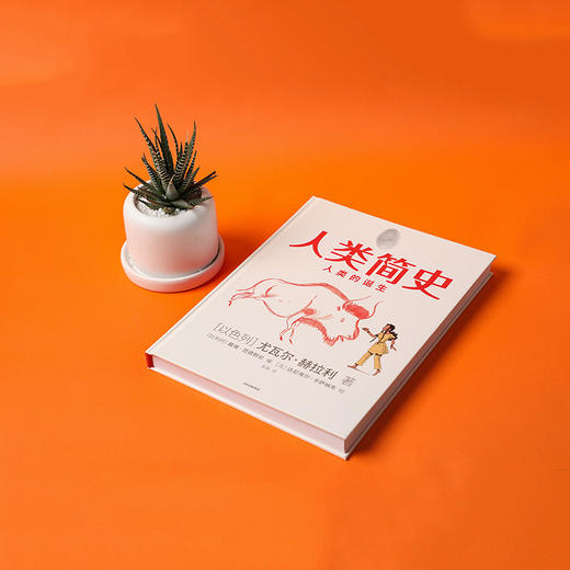 人类简史（知识漫画）：人类的诞生[尤瓦尔·赫拉利] 中信出版社 改编自全球畅销书《人类简史：从动物到上帝》 商品图7
