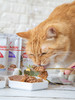 皇家 猫湿粮包 商品缩略图1