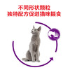 皇家 消化优选成猫粮 2kg 猫主粮 商品缩略图3