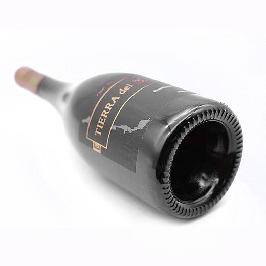 不可多得的精品【泰勒瓦】格兰珍藏级黑皮诺干红葡萄酒 适合搭配中餐 12个月以上橡木桶陈酿 智利卡萨布兰卡山谷精品种植100%黑皮诺纯酿 750ml 商品图5