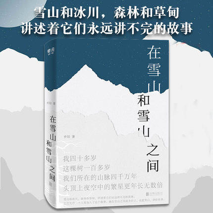 在雪山和雪山之间 乔阳雪山和冰川森林和草甸