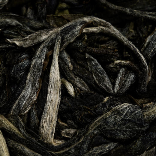 12月6日中午12点【黄票】2025年云南普洱生茶临沧茶区古树纯料茶叶，357克/饼 商品图2