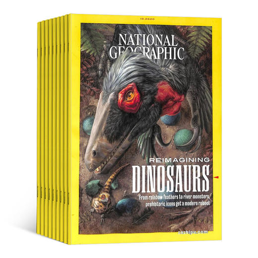 National Geographic Magazine【2024年6月起订】 美国国家地理杂志(成人版) 1年共12期 商品图4