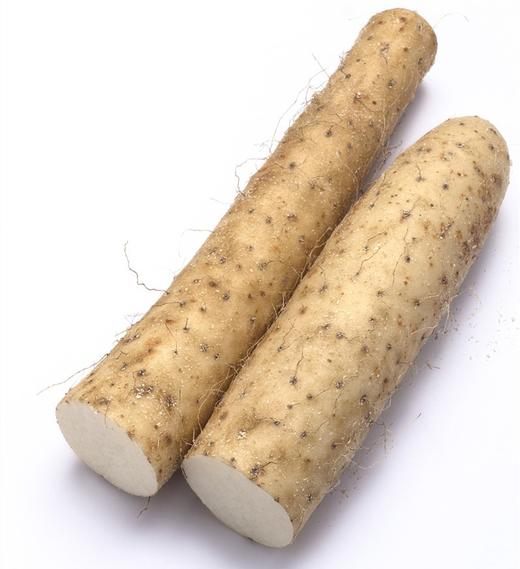 铁棍山药 500g 商品图0