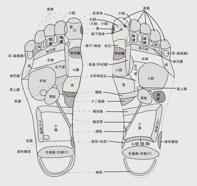 d092901秋季新品防滑耐用全自动加热按摩电动泡脚足疗桶