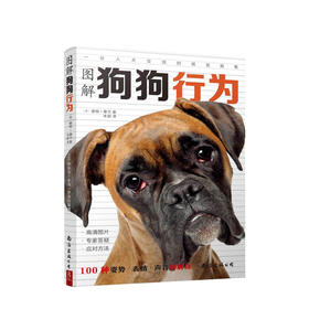 图解狗狗行为 雅顿摩尔 著 牟超 译 读懂狗狗动物行为生活