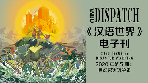 2020 Issue 5: Disaster Warning 商品图0