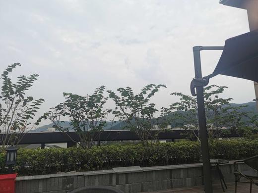 宝格丽男士香水 商品图0