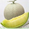 网纹瓜约1.5kg+50g 商品缩略图1