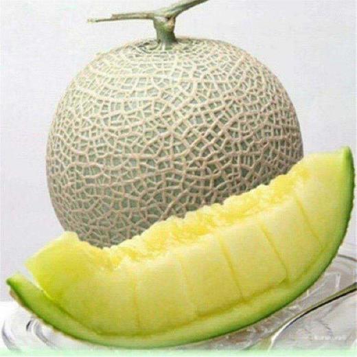 网纹瓜约1.5kg+50g 商品图1