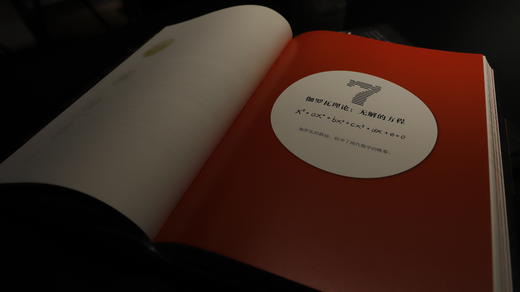 【签名珍藏版】《公式之美 》第十六届“文津奖”图书 亚马逊年度精选20本书 2020年度教师喜爱的100本书 2020年9月中国好书 商品图7